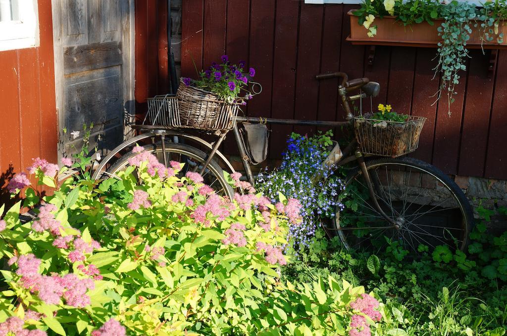 Villa Jaerve Talu Puhkemaja Otepää Habitación foto